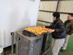 食品烘干设备/食品烘干机-南瓜片是怎么烘干的呢？